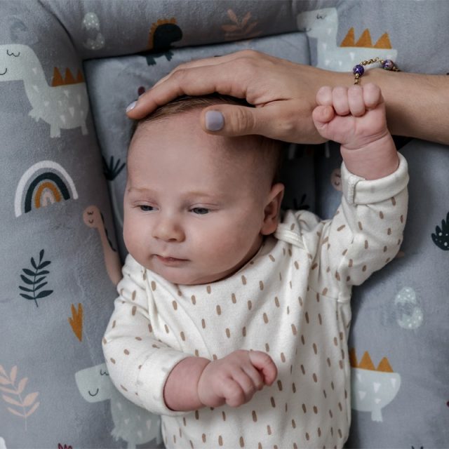 petit cocon pour bébé 0-9 mois-dinosaures gris-naélie