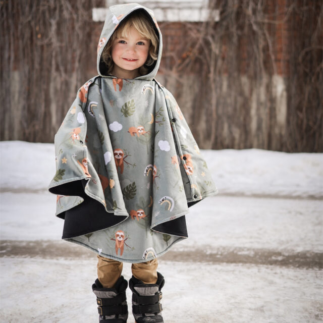 poncho d'hiver pour la voiture